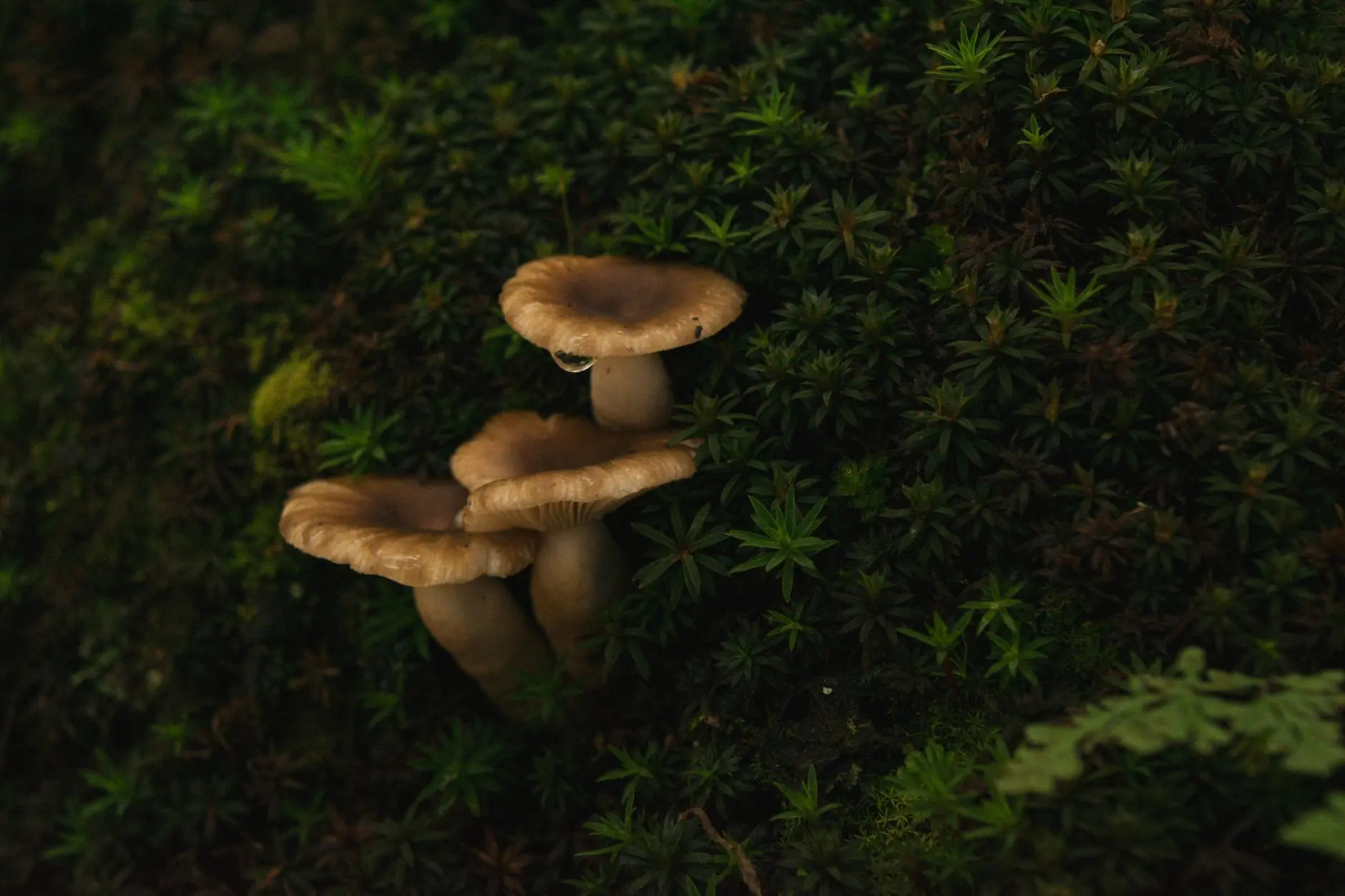 虚拟现实软件光盘在影视特效合成中的关键技术参数解析