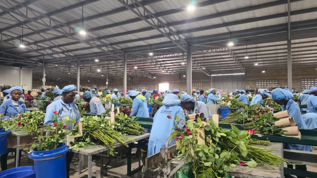 虚拟现实软件光盘产品型号参数对比分析