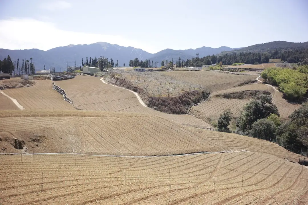 虚拟现实软件光盘在影视特效合成中的关键技术参数解析